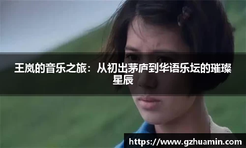 王岚的音乐之旅：从初出茅庐到华语乐坛的璀璨星辰
